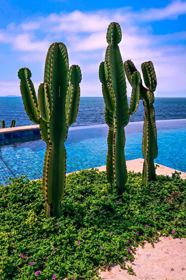 Casa Natalie Hotel Ensenada Bagian luar foto